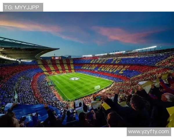 从足球小白到球迷达人：全面认识足球明星的成长之路